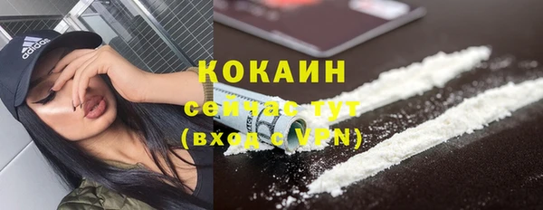 сатива Вязьма